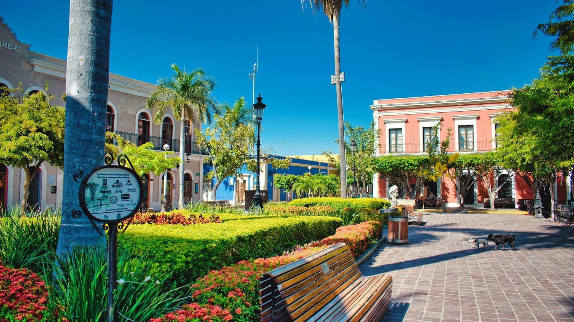 Cozy Loft Steps From Plazuela Machado - Centrito Apartment Mazatlan